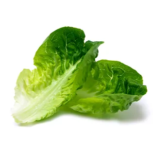 lechuga burrito de carne al pastor con crema de ajo maxicarne