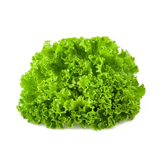 lechuga ensalada de tenders de pollo maxicarne