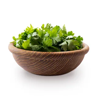 cilantro hamburguesa de cerdo maxicarne