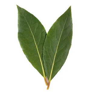 hojas de laurel costillas al limón maxicarne