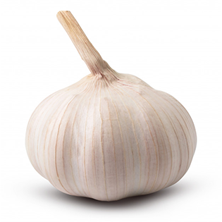 ajo espaldilla de cerdo con cilantro y nuez maxicarne