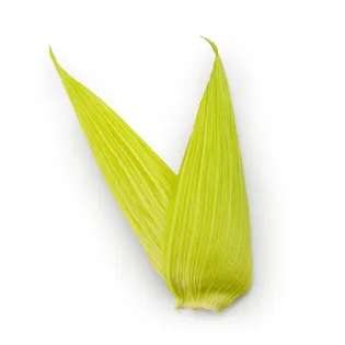 hoja de maiz tamales de pollo maxicarne