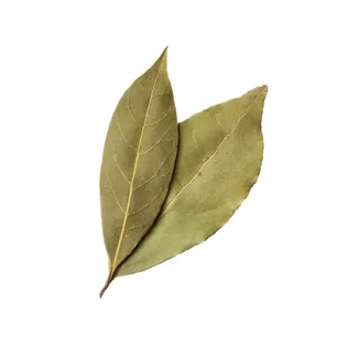 hojas de laurel tinga de falda de res con chicharos maxicarne