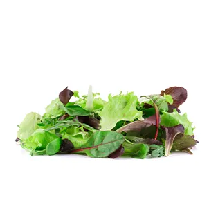 lechuga hamburguesa de cerdo maxicarne